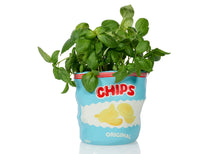 Carica l'immagine nel visualizzatore di Gallery, Vaso Chips