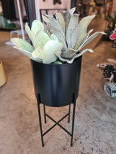 Carica l'immagine nel visualizzatore di Gallery, Fioriera