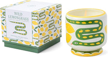 Carica l'immagine nel visualizzatore di Gallery, Candele profumate Paddywax