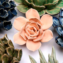 Carica l&#39;immagine nel visualizzatore di Gallery, Rosellina rosa
