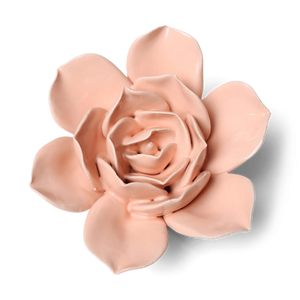 Rosellina rosa