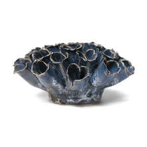 Corallo blu