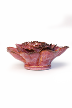 Carica l'immagine nel visualizzatore di Gallery, Camelia rigata rosa
