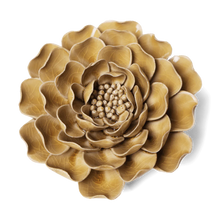 Carica l&#39;immagine nel visualizzatore di Gallery, Peonia caramello
