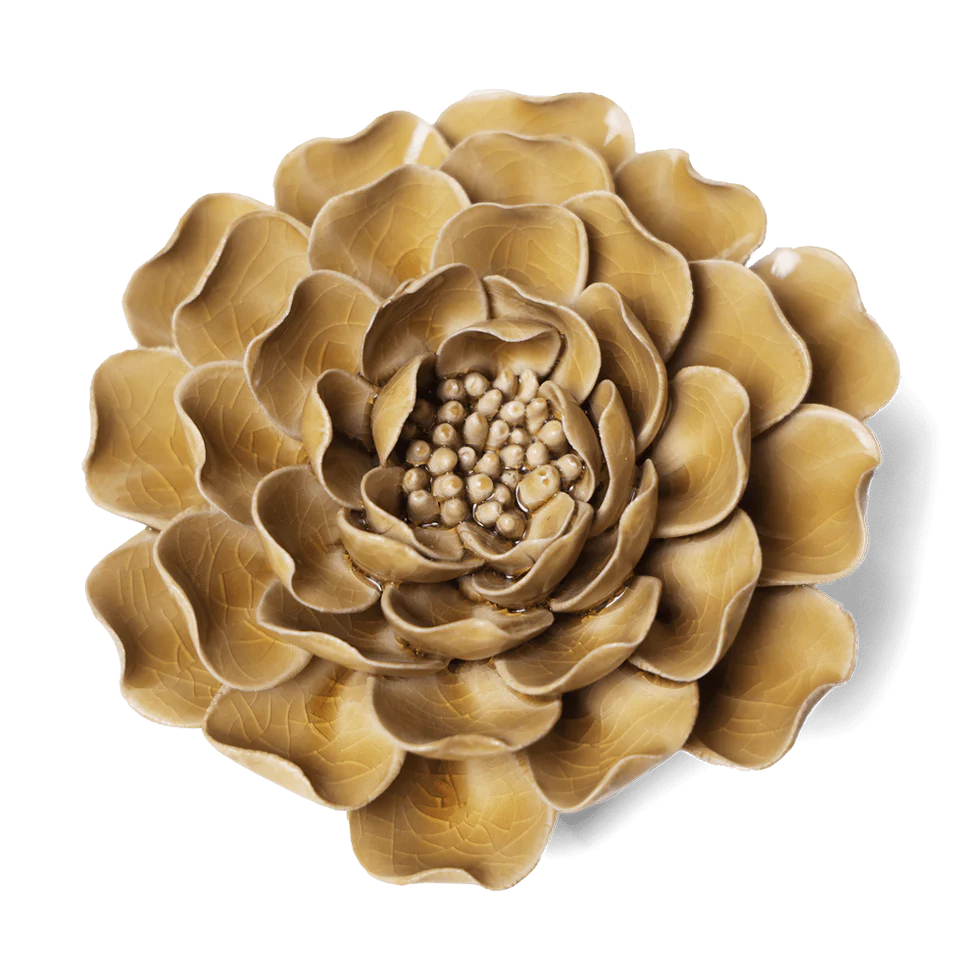 Peonia caramello