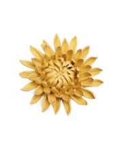 Carica l'immagine nel visualizzatore di Gallery, Marmella gialla
