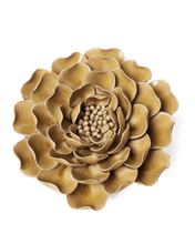 Carica l'immagine nel visualizzatore di Gallery, Peonia caramello
