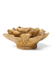 Carica l'immagine nel visualizzatore di Gallery, Peonia caramello
