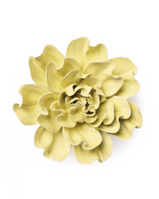 Carica l'immagine nel visualizzatore di Gallery, Peonia grande gialla
