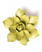 Carica l'immagine nel visualizzatore di Gallery, Aquiligia verde salvia

