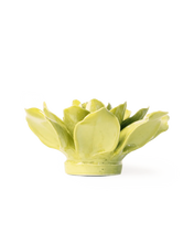 Carica l'immagine nel visualizzatore di Gallery, Aquiligia verde salvia
