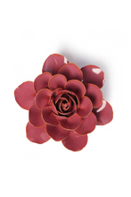 Carica l'immagine nel visualizzatore di Gallery, Begonia rosa
