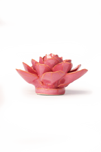 Carica l'immagine nel visualizzatore di Gallery, Begonia rosa
