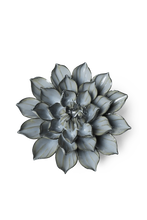 Carica l'immagine nel visualizzatore di Gallery, Aster grigio verde
