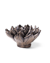 Carica l'immagine nel visualizzatore di Gallery, Echeveria grigia
