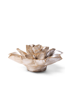 Carica l'immagine nel visualizzatore di Gallery, Aster metallic champagne
