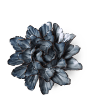 Carica l'immagine nel visualizzatore di Gallery, Peonia grande blu
