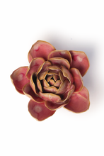 Carica l'immagine nel visualizzatore di Gallery, Narciso rosa
