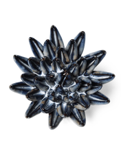 Carica l'immagine nel visualizzatore di Gallery, Succulenta blu navy
