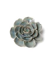 Carica l'immagine nel visualizzatore di Gallery, Anemone azzurro
