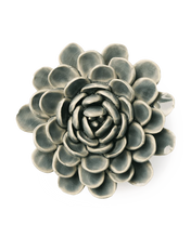 Carica l'immagine nel visualizzatore di Gallery, Zinnia Blu

