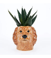 Carica l'immagine nel visualizzatore di Gallery, Cockapoo vasetto in ceramica dipinto a mano
