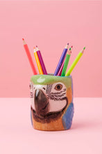 Carica l'immagine nel visualizzatore di Gallery, Macaw vasetto in ceramica dipinto a mano
