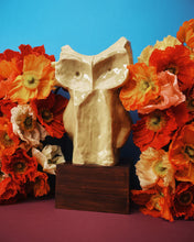 Carica l'immagine nel visualizzatore di Gallery, After Midnight Vaso Gufo grande
