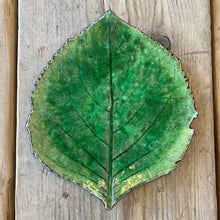 Carica l&#39;immagine nel visualizzatore di Gallery, Piatto Hydrangea foglia di ortensia
