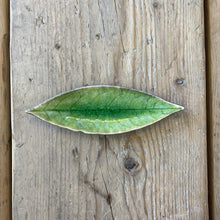 Carica l&#39;immagine nel visualizzatore di Gallery, Piattino Laurel fogliolina
