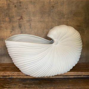 Vaso Conchiglia