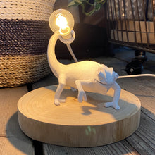 Carica l&#39;immagine nel visualizzatore di Gallery, Lampada Camaleonte
