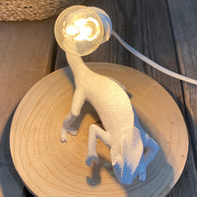 Carica l&#39;immagine nel visualizzatore di Gallery, Lampada Camaleonte
