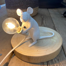 Carica l&#39;immagine nel visualizzatore di Gallery, Lampada Topino
