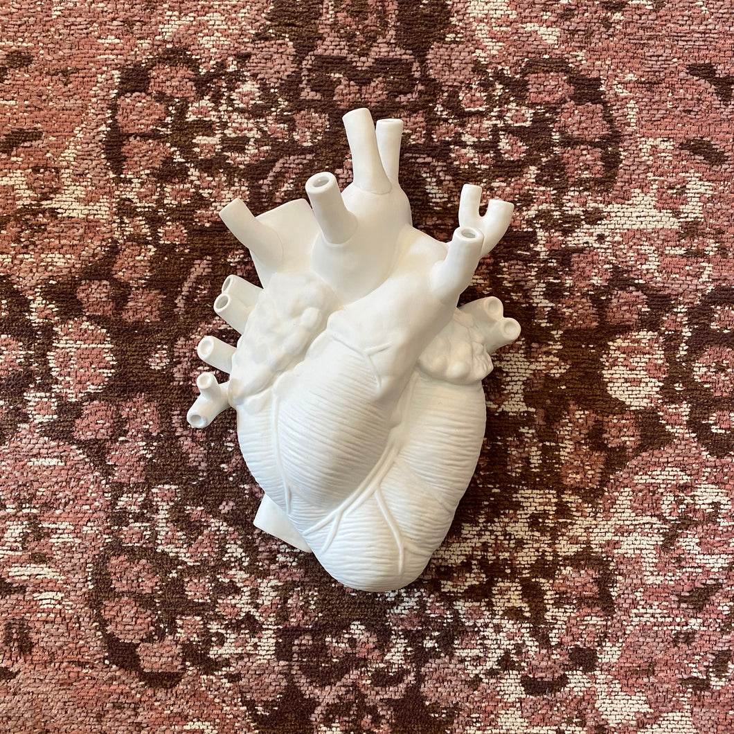 Vaso cuore anatomico