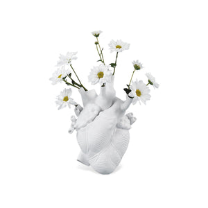Vaso cuore anatomico