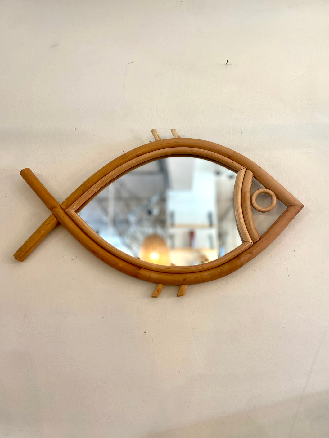 Specchio pesce piccolo