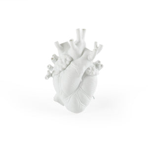 Vaso cuore anatomico